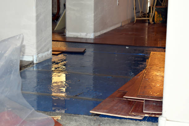 Professional Basement Water Removal technician working in Long Beach, MS